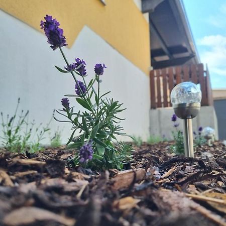 Ferienwohnung Noah Merseburg Zewnętrze zdjęcie
