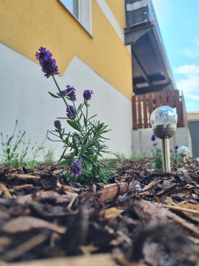 Ferienwohnung Noah Merseburg Zewnętrze zdjęcie